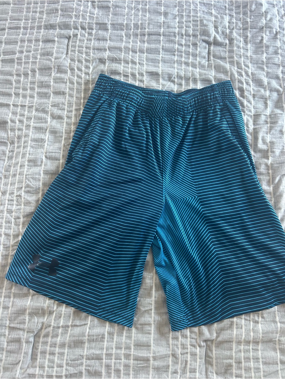 Under Armour Blue Striped Athletic Shorts
